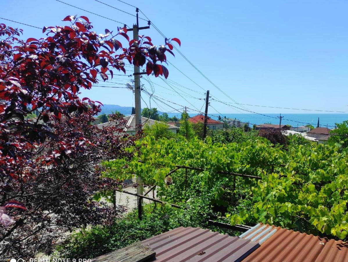 Guest House New Athos Ngoại thất bức ảnh